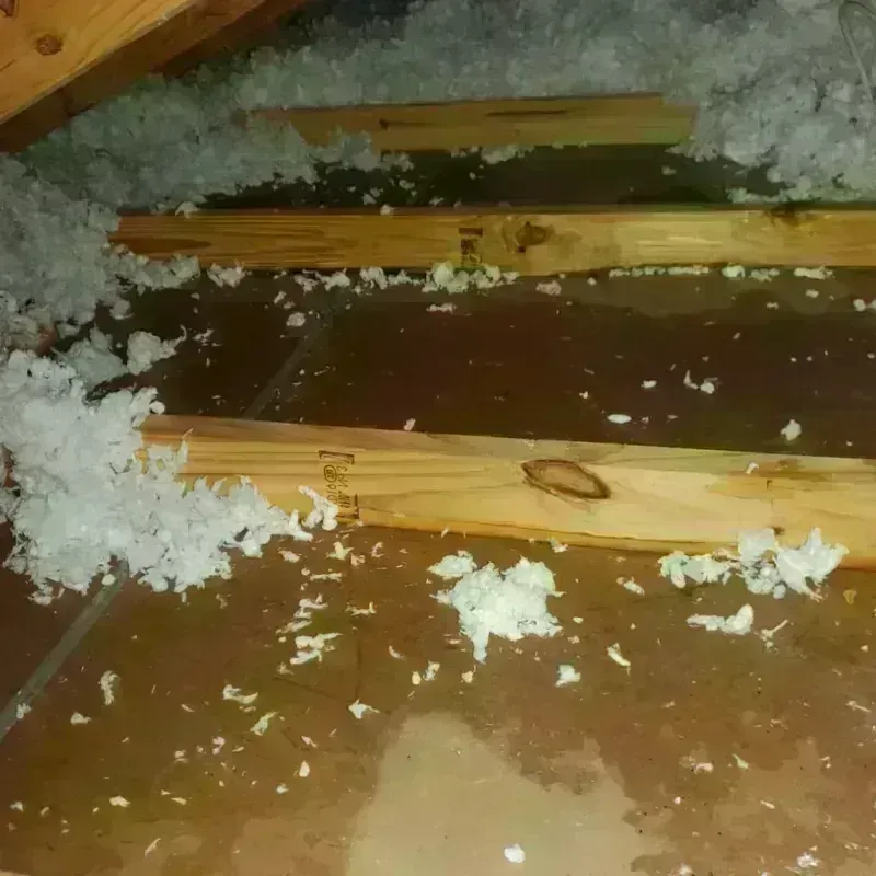 Attic Water Damage in Waterford, CA