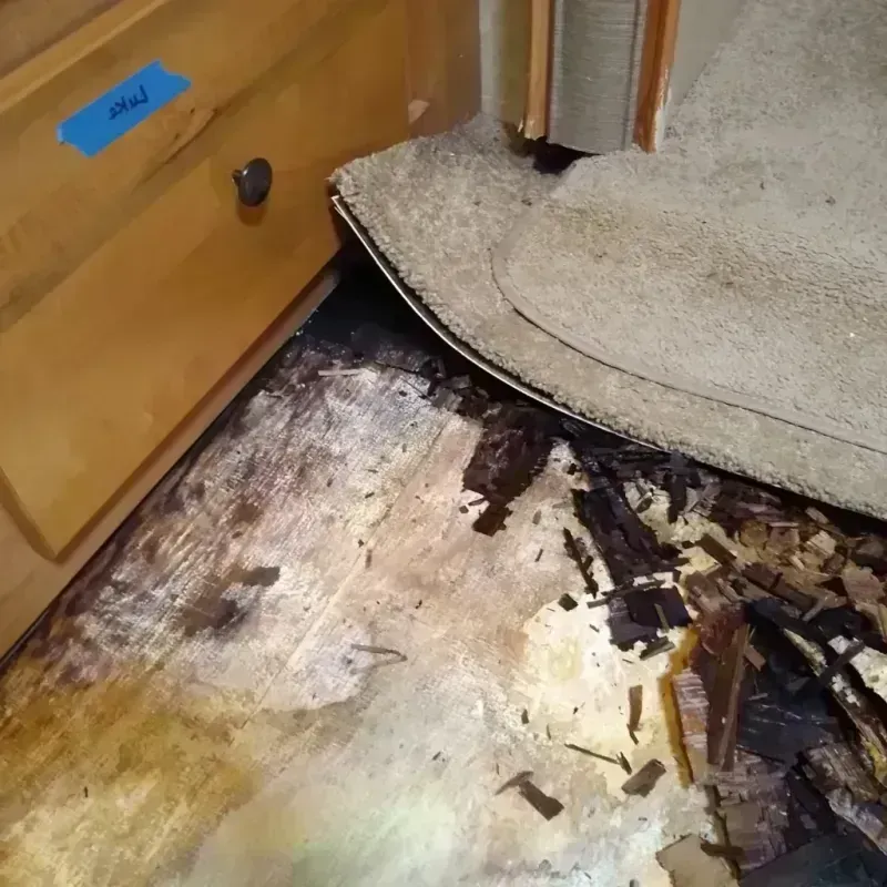 Wood Floor Water Damage in Waterford, CA